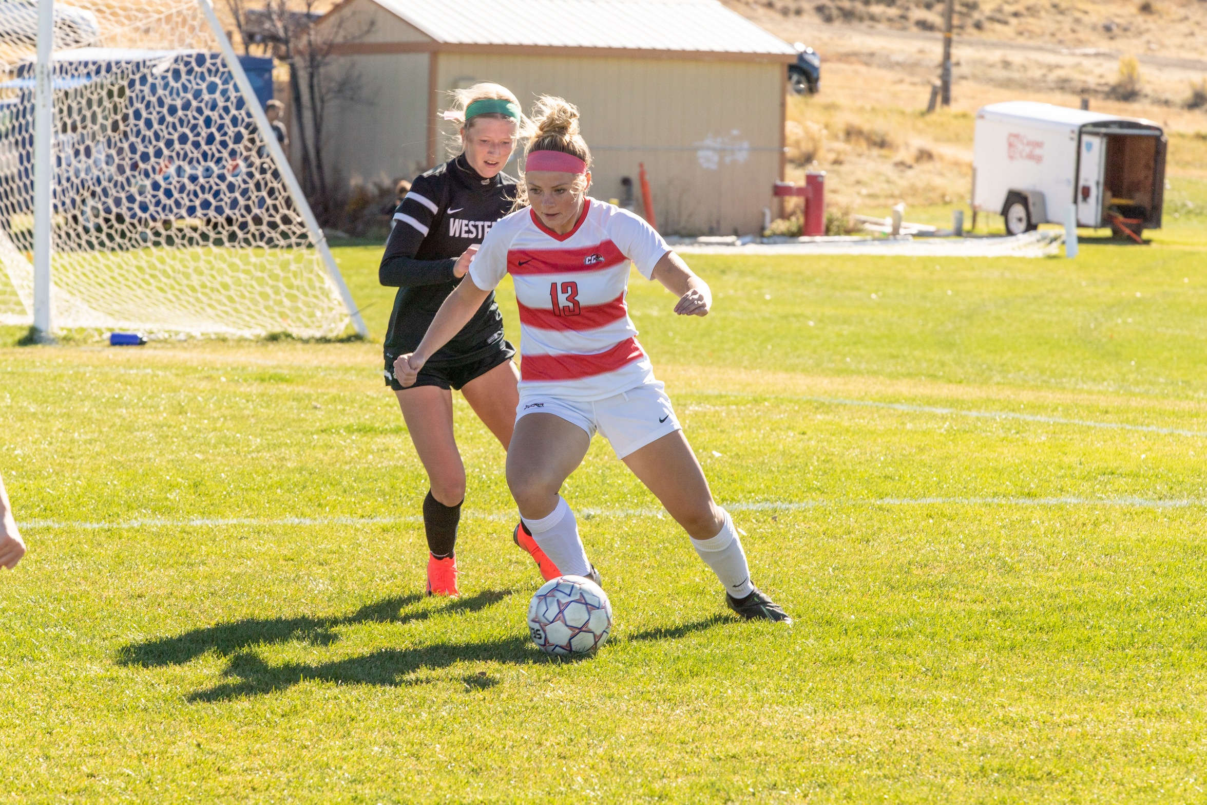 Two soccer players going for a goal.