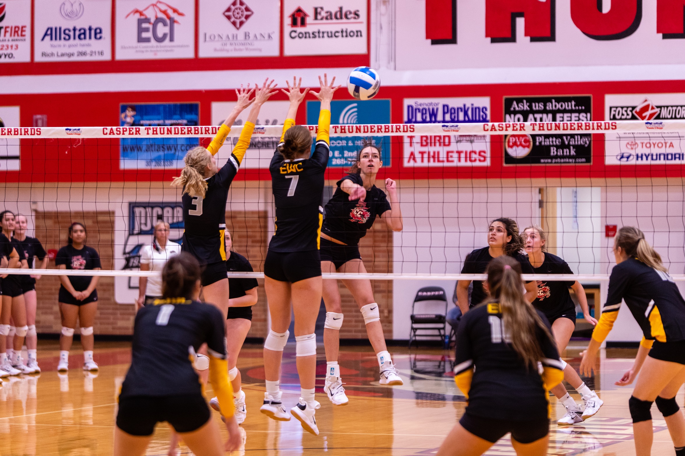 Volleyball image